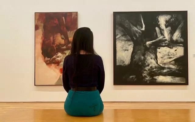 Visitante en el museo