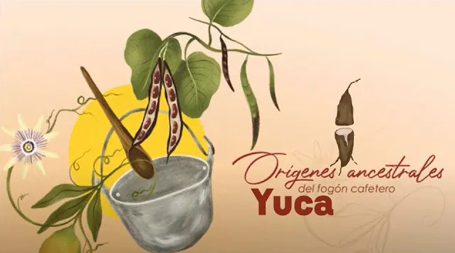 Miniatura Video fogón cafetero yuca