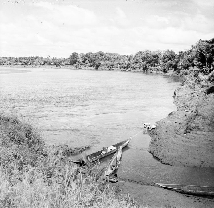 Minería, Planicie deltaica, bajo Naya a la altura de Puerto Merizalde, Cauca y Valle del Cauca (1951-1954)