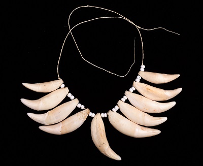 Collar uitoto Fotografía de Clark M. Rodríguez, 8,5 x 2,5 cm.