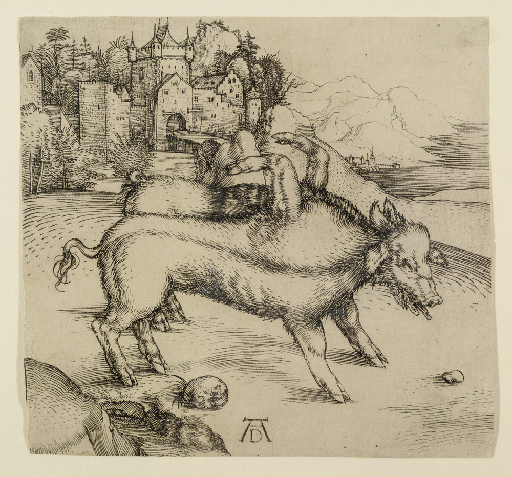 El cerdo monstruoso Obra de Durero. 1496 - Buril,   121 x 127 mm"