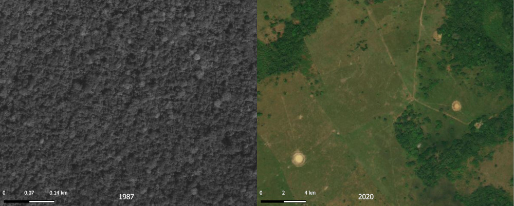 Huellas de desaparición. Los casos de Urabá, Palacio de Justicia y territorio Nukak