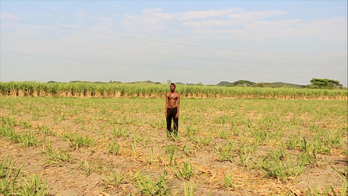 De cara al sol obra de Jean Lucumí. 2019 - Videoperformance, 5,17 m 