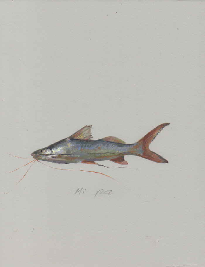 Serie, las palabras y las cosas. Mi pez obra de Luis Fernando Bautista. 2018 - Acrílico sobre papel gris