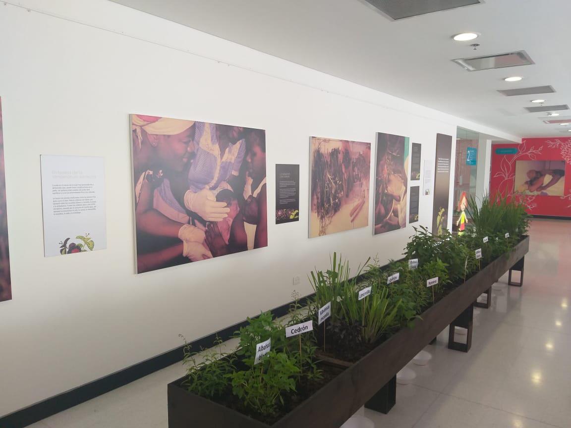 Exposición Partería en Neiva