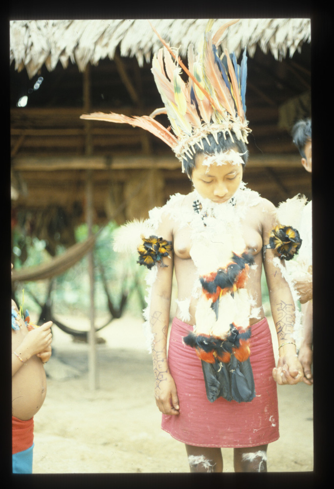 Ritual de Pelazon Obra de  Jean Pierre Goulard, Museo etnográfico
