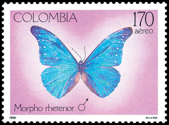 Estampillas sobre mariposas de la serie Fauna de Colombia, emitidas en 1991 e impresas en Bogotá por Thomas de la Rue en denominaciones de 70, 80, 170 y 190 pesos.
