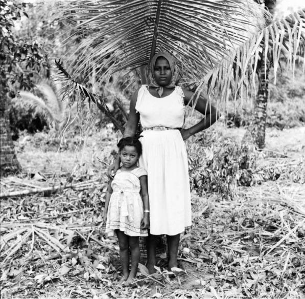 Comunidades del agua: una mirada al Pacífico colombiano a mediados del siglo XX.