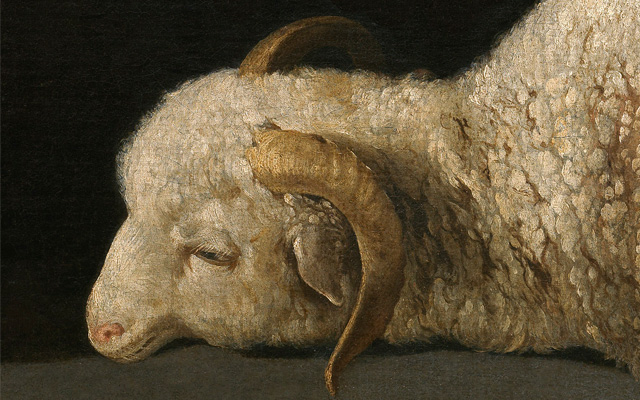 Detalle de la cabeza del cordero de la obra pictórica Agnus Dei, de Francisco de zurbarán