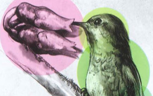 Exposición Biodiversidad nuestra conexión vital