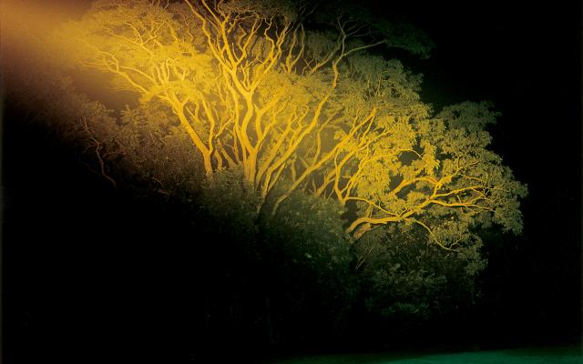 Dream Villa, 2007-2008, Courtesy of the Artist, Frith Street Gallery, London, Nature Morte, New Delhi.