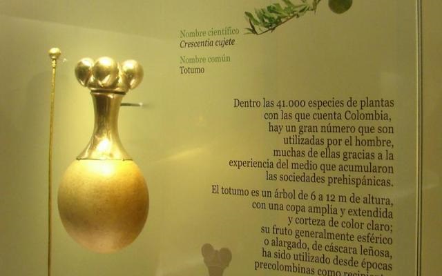 Abierta en septiembre 22 de 2010 y visible hasta inicios de 2012, la exposición formó parte de las campañas del Año Internacional de la Biodiversidad, 2010, declarado por la Organización de las Naciones Unidas.