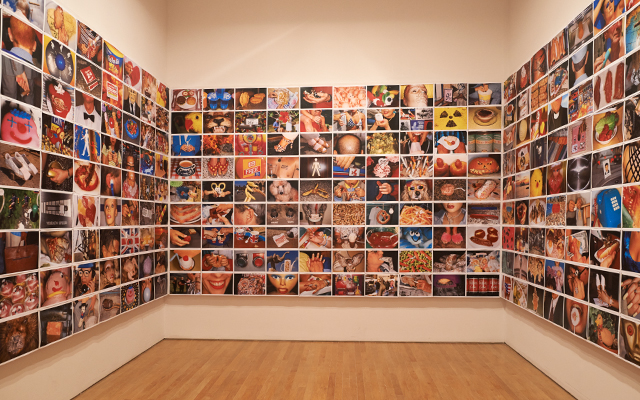 Serie Common Sense en la exposición Martin Parr: Sovenir