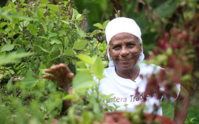 Partera de Buenaventura en su huerta