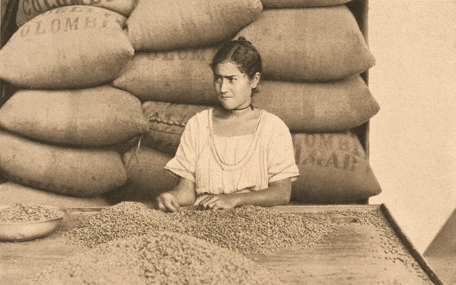 Escogedora, Medellín, 1930. Biblioteca Pública Piloto, Medellín.