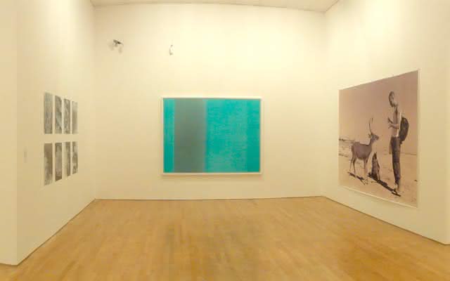 Exposición de Wolfgang Tillmans