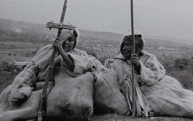 Exposición Jorge Silva