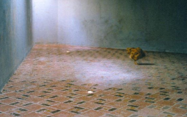 Exposición Miguel Ángel Rojas