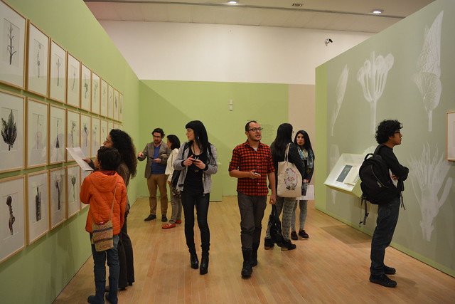 Pareidolia Obra de Joan Fontcuerta. 2017