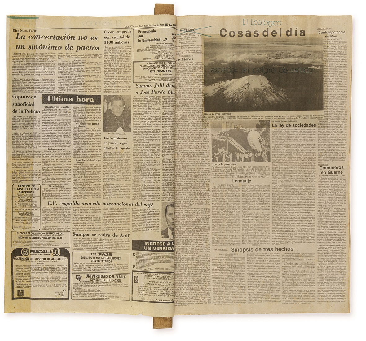 El Ecológico, 1980-1982. Periódico de artista. 62,5 × 38,5 × 2 cm