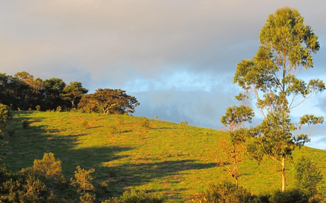 Sophie Calle. Historias de pared. Mi idea de belleza.