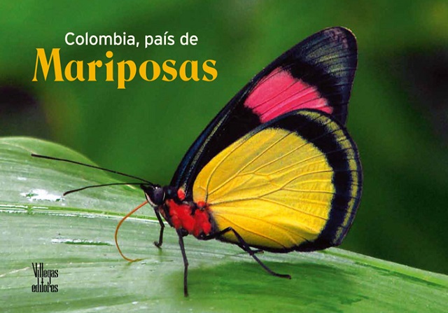 El vuelo de la Mariposa | La Red Cultural del Banco de la República