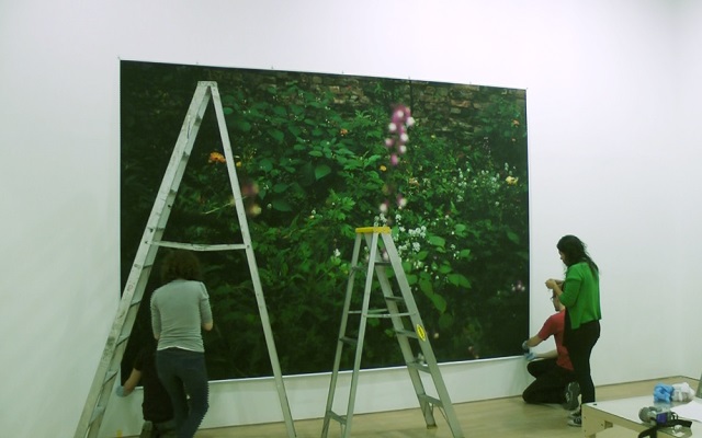 Montaje de la exposición Wolfgang Tillmans.