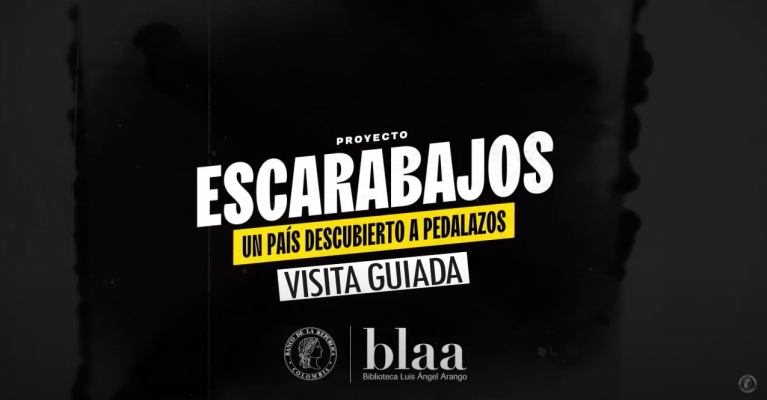 Visita guiada etapa 1 escarabajos