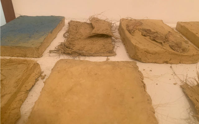 Laboratorio de creación Libros de tierra