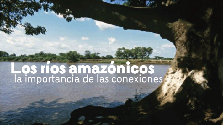 los rios amazonicos y sus conexiones