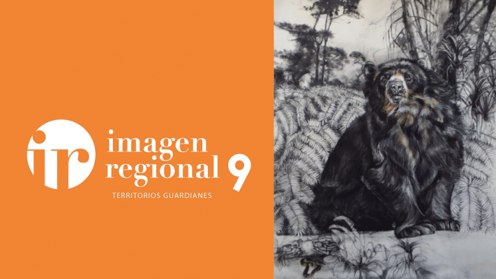 ir9 territorios guardianes