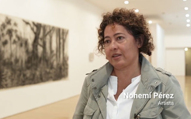 Nohemí Pérez, artista colombiana