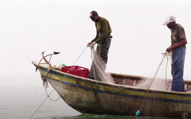 Imagen de la serie audiovisual ‘La pesca y los sonidos del mar’