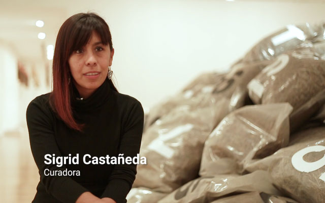 Sigrid Castañeda, curadora 