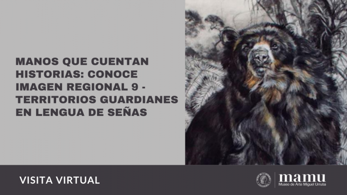 manos que cuentan historias