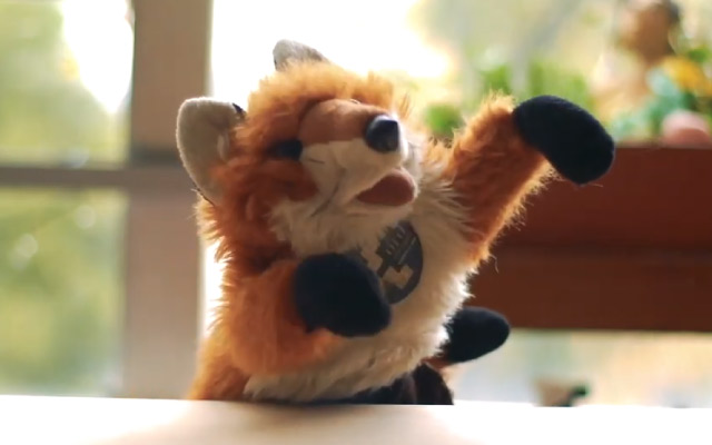 Claudio, el zorro arqueólogo