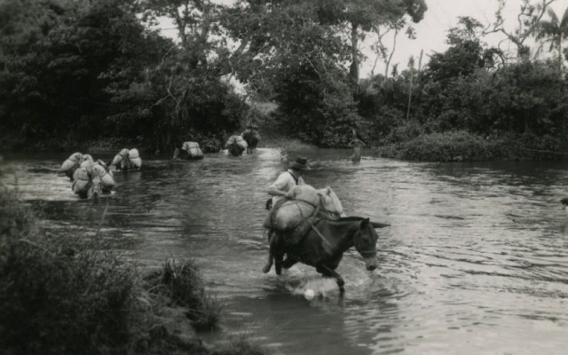  La lucha del llanero. Colección Radio Sutatenza. Banco de la República.