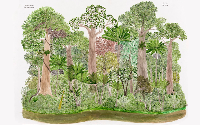 Pintura "Ciclo anual del bosque" de Abel Rodríguez Muinane.