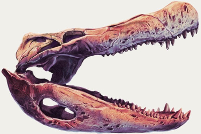 Explorando la Era de los Dinosaurios