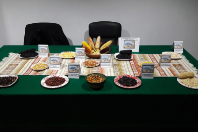 Conversatorio: el acto comunitario de comer