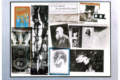 Collage salvaje