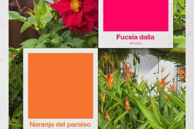 Colores, formas y semillas
