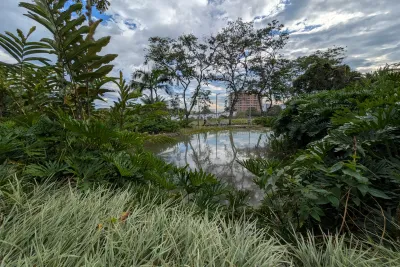 Relación de cultivos mixtos: Las especies que coexisten en una huerta