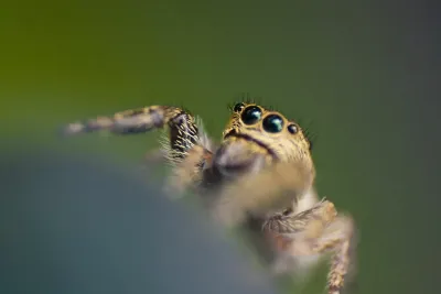 Los colores de la selva a través de la fotografía
