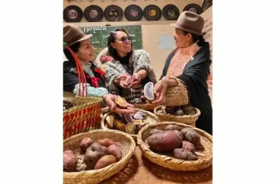 El Rescate de las Papas Perdidas