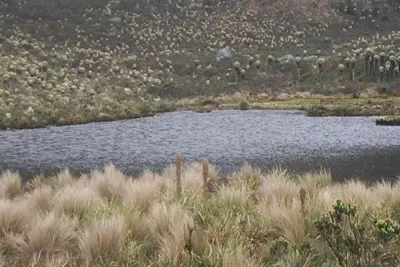 Paisajes de agua: memorias de un territorio vivo