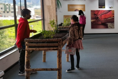 Prácticas rituales y espirituales en torno al viche”. Laboratorio Manual de Autoconstrucción