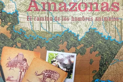 Juego Amazonas