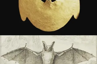 Representaciones prehispánicas del murciélago en la sierra Nevada de Santa Marta