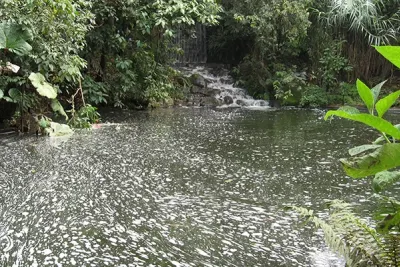 Conversemos sobre los sonidos en torno al río